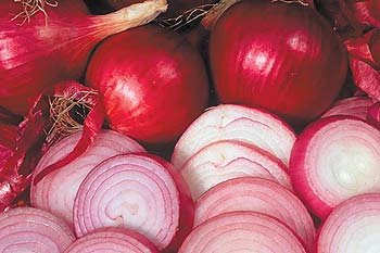 �������� ��� � �������� ��������
