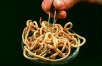 ����� ������ ������ � ��������