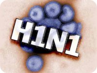 ������������ ������� ������ (H1N1)