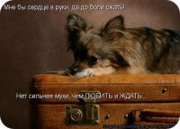 ������ ������� ����� ��������