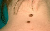 ������� ����� �������� � �������� (���� ����)