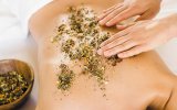 ������������ SPA ���������