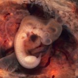 4-�� - ��������� ������ ������������ - ����� �������� �����