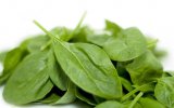 �������� �������� �������