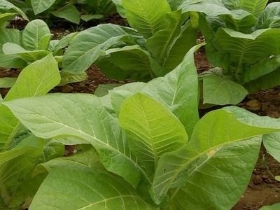 �����: ���� � ������