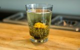 ����� ���