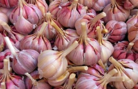 ������