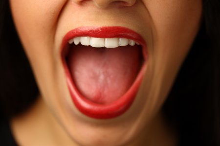 ����� �����, ����� � ������� � ������� �������