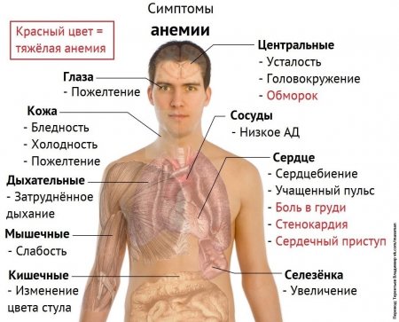 �������� ������ (������� ��������� �������� - https://vk.com/massman)