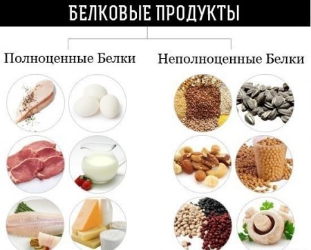 ����������� � ������������� ����� � ��������������