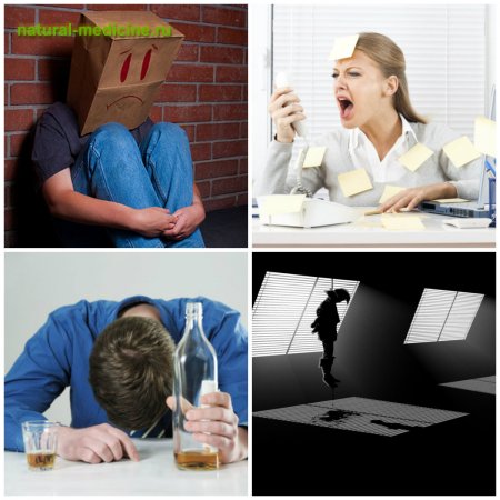 � ���� �������� �������-�������