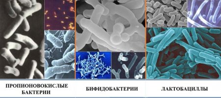 Для закваски