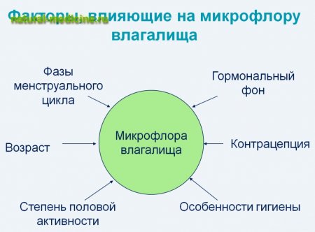 Что влияет на микрофлору влагалища