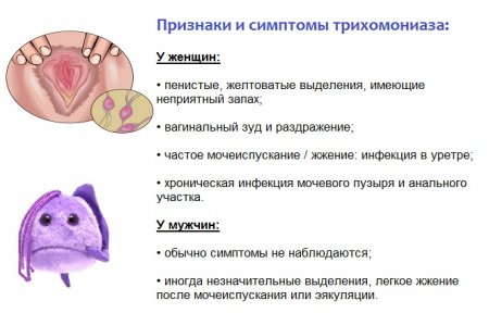 трихомонады