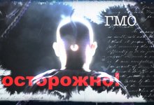 ���: ��� �������� ���� ����� � ��� �� ��� ������