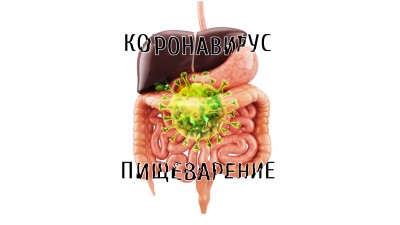 ����������� � ������������ �����������